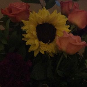 Meet your Posher, Margie